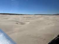 the dunes - 1 (1).jpeg