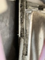 IMG_2324.JPEG