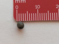 PXL_20240429_162225475.jpg