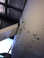 IMG_3653.jpeg