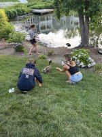 IMG_2025.jpeg