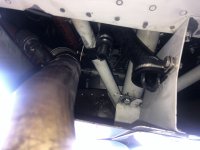 IMG_4653.jpeg
