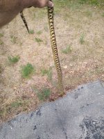 IMG_20230610_172153728.jpg