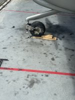 IMG_5455.jpeg