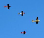 IMG_3295.jpeg
