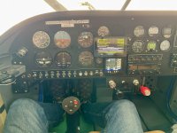 IMG_3381.jpeg IMG_3381.jpeg