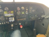 IMG_3382.jpeg IMG_3382.jpeg