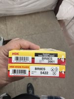 IMG_1074.jpeg IMG_1074.jpeg