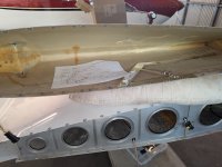 PXL_20240824_183442569.jpg