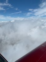 IMG_2203.jpeg