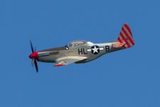 IMG_4239.jpeg