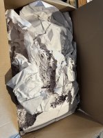 IMG_5249.jpeg