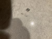 IMG_0547.jpeg
