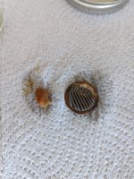 contamination in fuel filter.jpg
