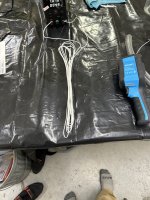 IMG_1262.jpeg