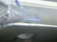 IMG_4232.jpeg