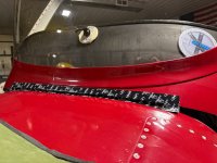 IMG_8171.jpeg
