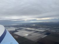 IMG_7903.jpeg
