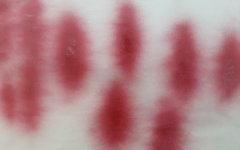 20250102_171404.jpg