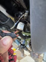 IMG_5129.jpeg