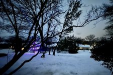 IMG_6506.jpeg