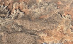 Alien track - 1.jpeg