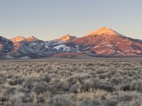 IMG_5723.jpeg