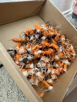 IMG_8791.jpeg