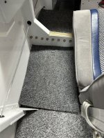 Carpet.jpg