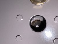 IMG_4695.jpeg
