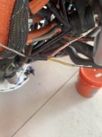 IMG_3467.jpeg