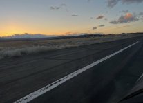 elk on airport - 1.jpeg