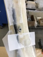 IMG_5085.jpeg