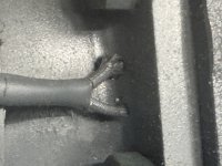 IMG_6106.jpeg