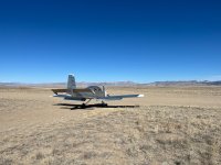 Shoshoni - 1 (2).jpeg