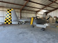 IMG_3101.jpeg