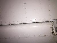 IMG_3372.jpeg