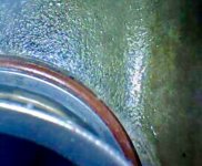 IMG_0320.jpeg