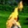 1742326603651.jpeg