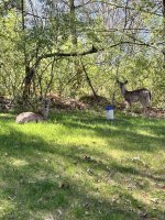 IMG_7697.jpeg