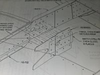 20250424_073417.jpg
