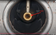 Insect in FM-200.png