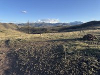 IMG_6735.jpeg IMG_6735.jpeg