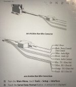 IMG_0020.jpeg