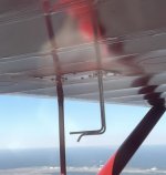 IMG_9968.jpg