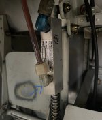 IMG_1305.jpeg
