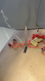 IMG_4310.jpeg IMG_4310.jpeg