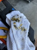 IMG_1699.jpeg