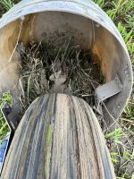 IMG_9439.jpeg