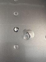 IMG_3256.jpeg
